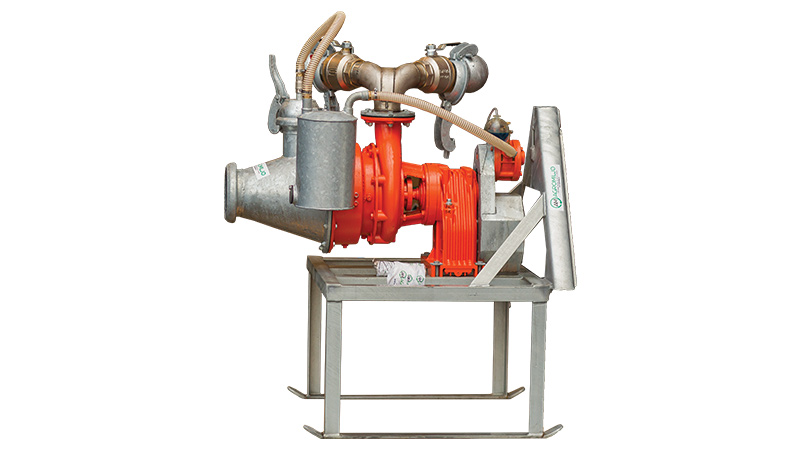 AM-Doda-Maxi-L–27